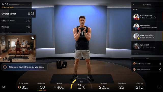 Human Pose Estimation Interface Breakdown